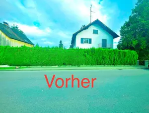  Gärtner , Heckeschneiden ,  Gartenarbeit  trimmen Unkraut jäten mähen Garten Hilfe   Bild 4