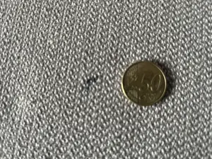 Schönes bequemes Ecksofa mit Bettfunktion Bild 6