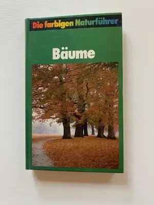 Bäume und Strauchgehölze Bild 2