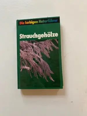 Bäume und Strauchgehölze Bild 3