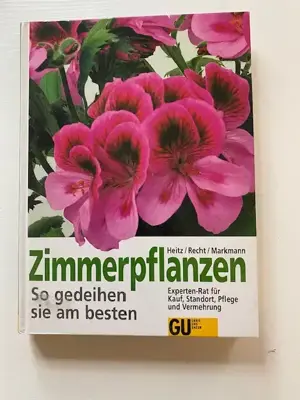 Zimmerpflanzen