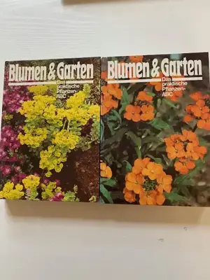 Blumen und Garten