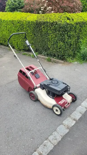 Rasenmäher Bild 2