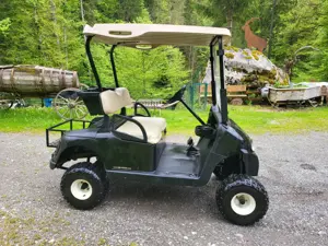 Verkaufe Golfwagen Bild 7