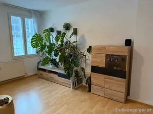    Wohnzimmer-Möbel