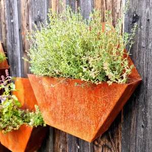 Edelrost Wandblumentopf Esagono   Edelrost trifft Design Bild 7