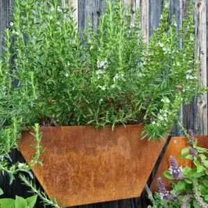 Edelrost Wandblumentopf Esagono   Edelrost trifft Design Bild 3