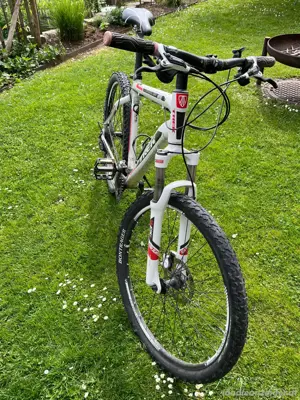 Damen Mountainbike zu verkaufen Bild 2