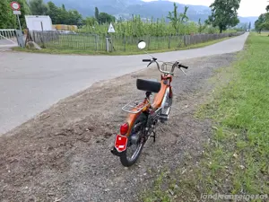 Puch Maxi L Bild 6