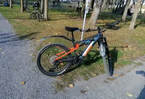 KTM  Herrenfahrrad