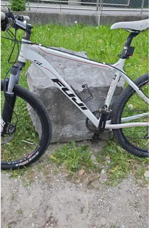 Fahrrad Fuji Bild 2