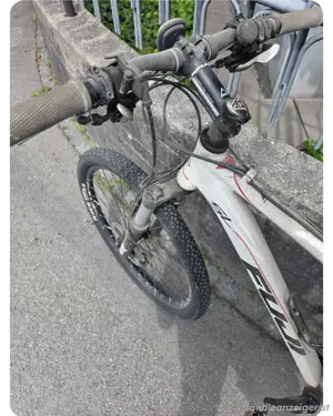 Fahrrad Fuji Bild 5