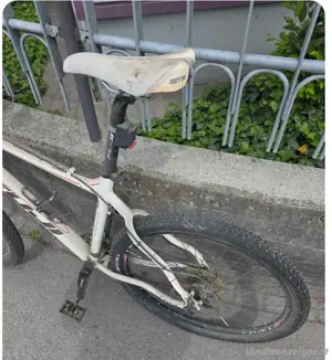 Fahrrad Fuji Bild 3