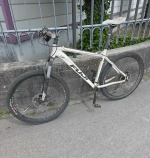 Fahrrad Fuji