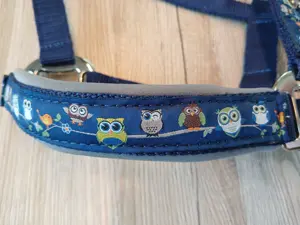 Shetty Halfter zu verkaufen