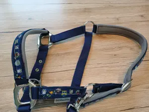 Shetty Halfter zu verkaufen Bild 2