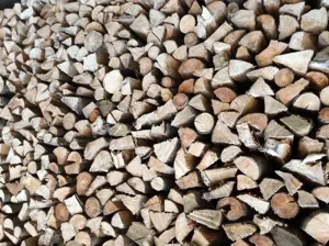 Brennholz trocken Bild 2