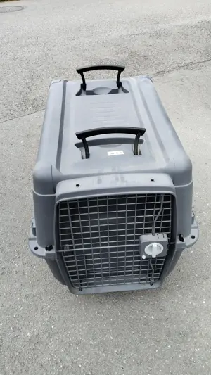 Hundebox, Farbe Grau, (L=75cm, B=50cm, H=60cm) Bild 4