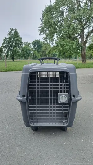 Hundebox, Farbe Grau, (L=75cm, B=50cm, H=60cm)