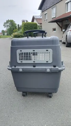 Hundebox, Farbe Grau, (L=75cm, B=50cm, H=60cm) Bild 3