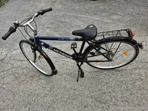 Mckenzie Herrenrad Bild 2