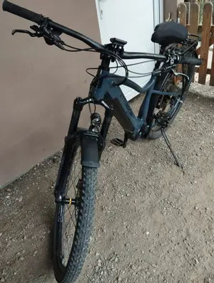 Ettention Damen Bike Maple 2023 Größe S Bild 2