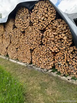  Brennholz  Bild 3