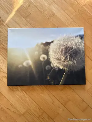 Bild zu verschenken 