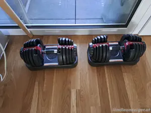 BowFlex Kurzhanteln 2 Stück 2-24KG Bild 2