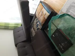 Sofa-Coach zu verschenken 
