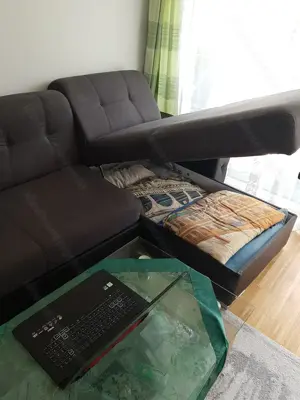 Sofa-Coach zu verschenken  Bild 4