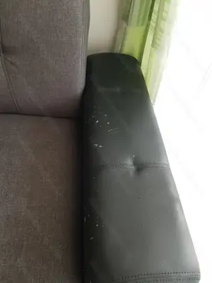 Sofa-Coach zu verschenken  Bild 5