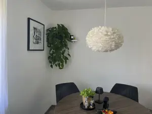 2 Feder-Deckenlampen 