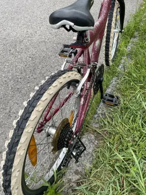 Kinderfahrrad Bild 3