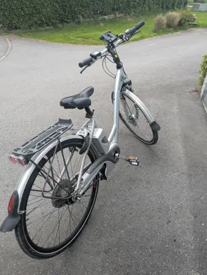 Damen E-Bike Flyer T8 Bild 3