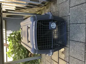 Transport Box für Katzen oder Hunde 