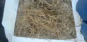 Siloballen, Heuballen, Traktor  Bild 2