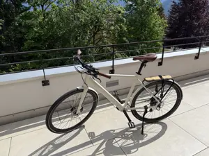 Geero E-Bike (Classic Cream) Bild 2