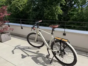 Geero E-Bike (Classic Cream) Bild 3