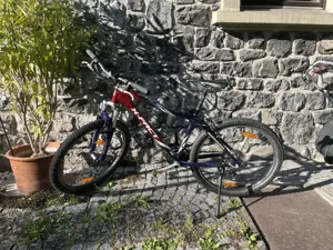 Kinder Jugendfahrrad X-fact