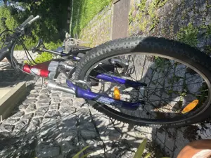 Kinder Jugendfahrrad X-fact Bild 3