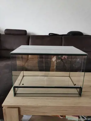 Terrarium 60x40x40