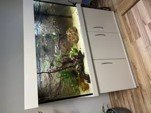 Meer oder Süßwasseraquarium 
