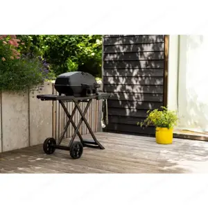 Napoleon Gasgrill Travel Q - Klappbar - 2 Mal benutzt!