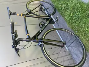 Specialized Carbon Rennrad, 4 Jahre alt,  Topzustand.