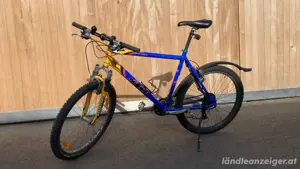 Herrenfahrrad