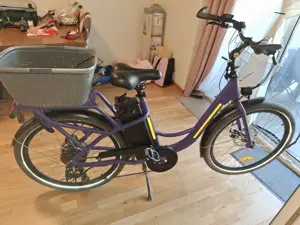 E-Bike Fahrrad 