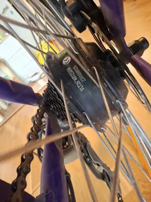 E-Bike Fahrrad  Bild 10