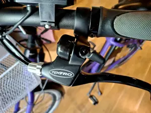 E-Bike Fahrrad  Bild 5