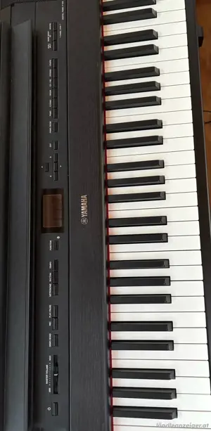 Stagepiano Yamaha P 515 zu verkaufen